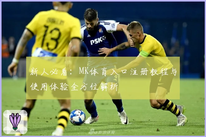 新人必看：MK体育入口注册教程与使用体验全方位解析