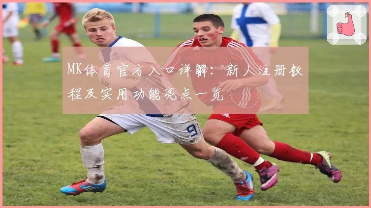 MK体育官方入口详解：新人注册教程及实用功能亮点一览