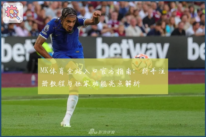 MK体育全站入口官方指南：新手注册教程与独家功能亮点解析